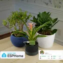 Apollo Automation - Apollo PLT-1 plant sensor for Home Assistant (Non-Battery version)