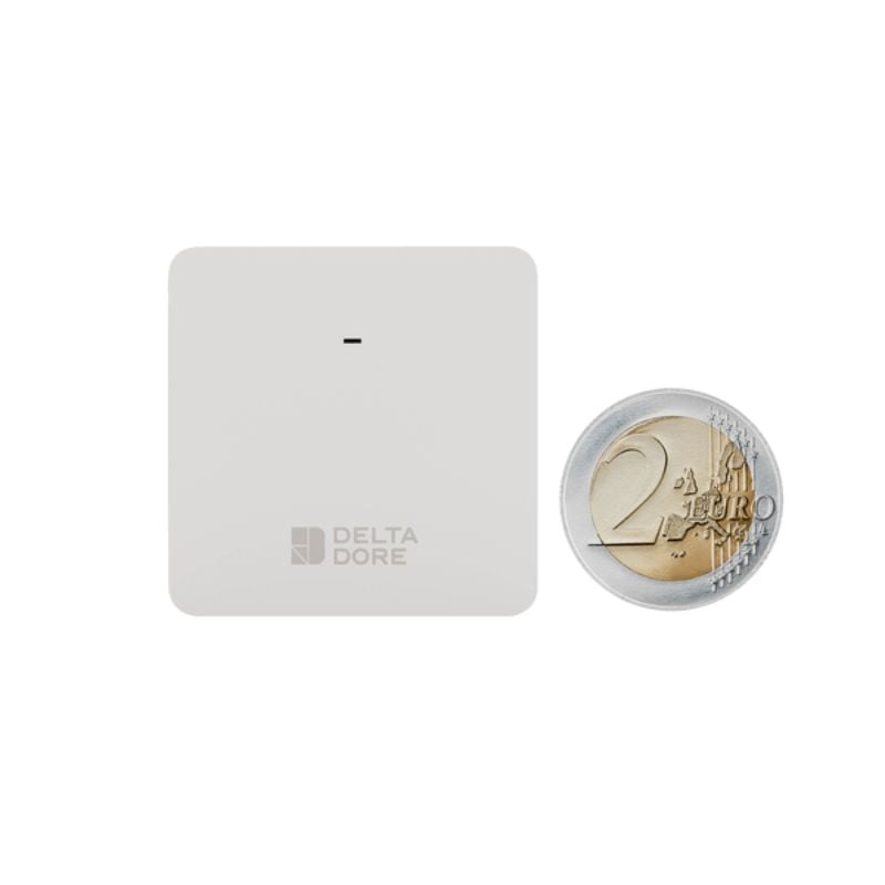 Delta Dore – Sonda di temperatura interna wireless