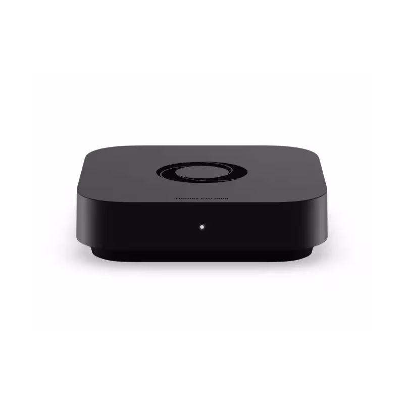 Homey Pro Mini