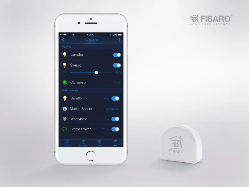 FIBARO - Module 1 charge Homekit FIBARO Single Switch