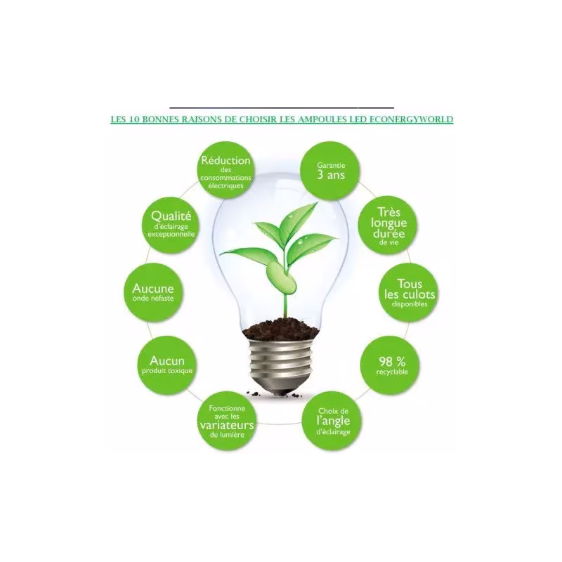 Spot LED 2,5W G4 dimmable - CREE - Econergyworld
