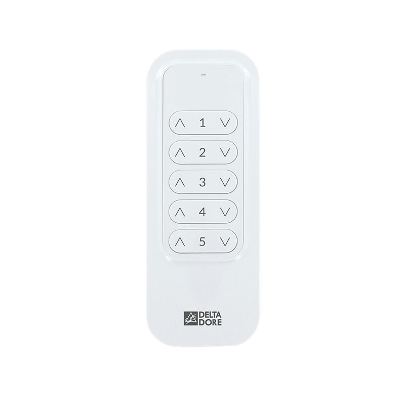 Delta Dore - Telecomando 5 canali Tyxia 1700