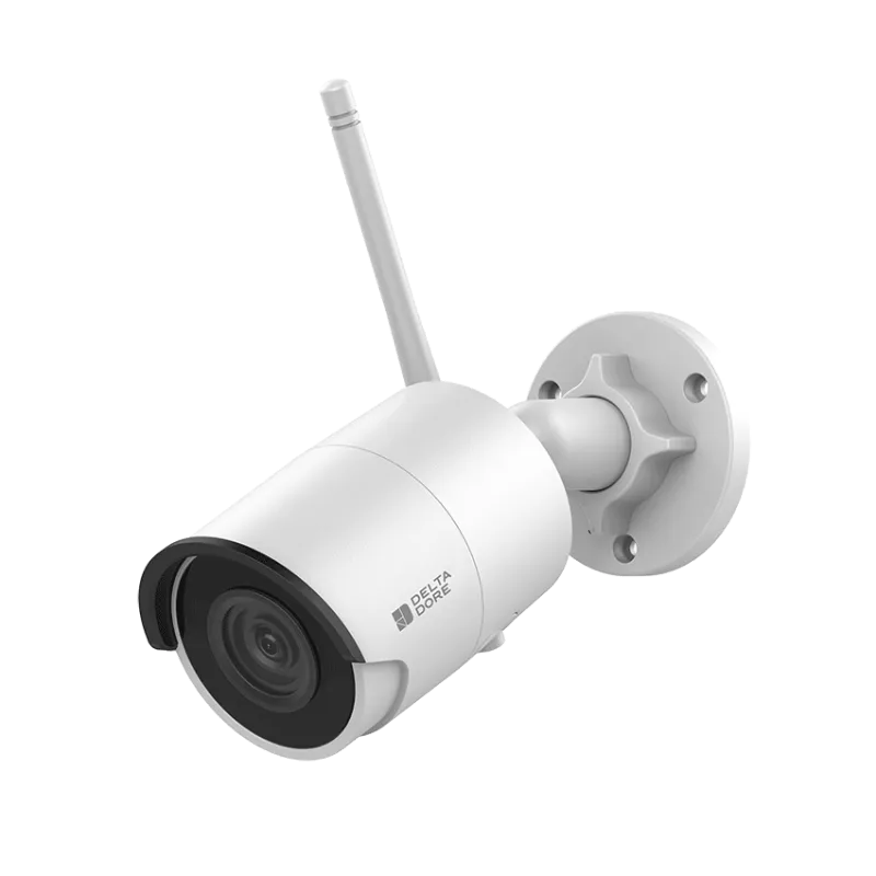 Delta Dore - Caméra de sécurité extérieur Tycam 2100