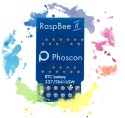 Phoscon - Module ZigBee pour Raspberry (Phoscon RaspBee II)