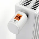 EUROtronic - Zigbee Heizungsthermostat Spirit